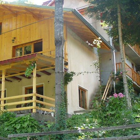 Mountain Sun Guest House Chiflik Exterior foto