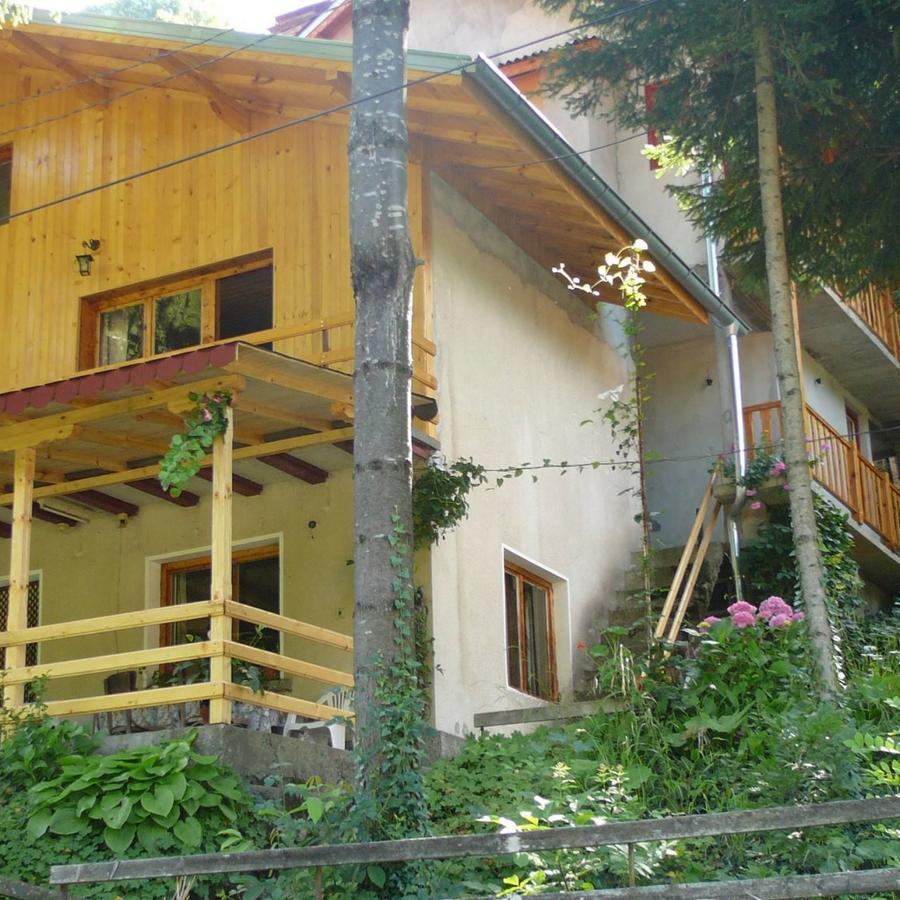 Mountain Sun Guest House Chiflik Exterior foto